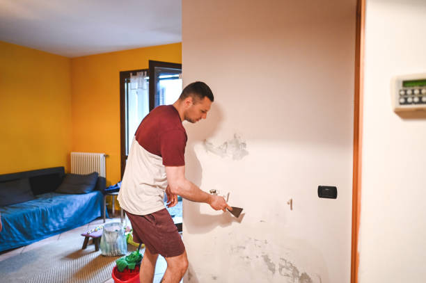Best Toxic Mold Removal  in Harahan, LA